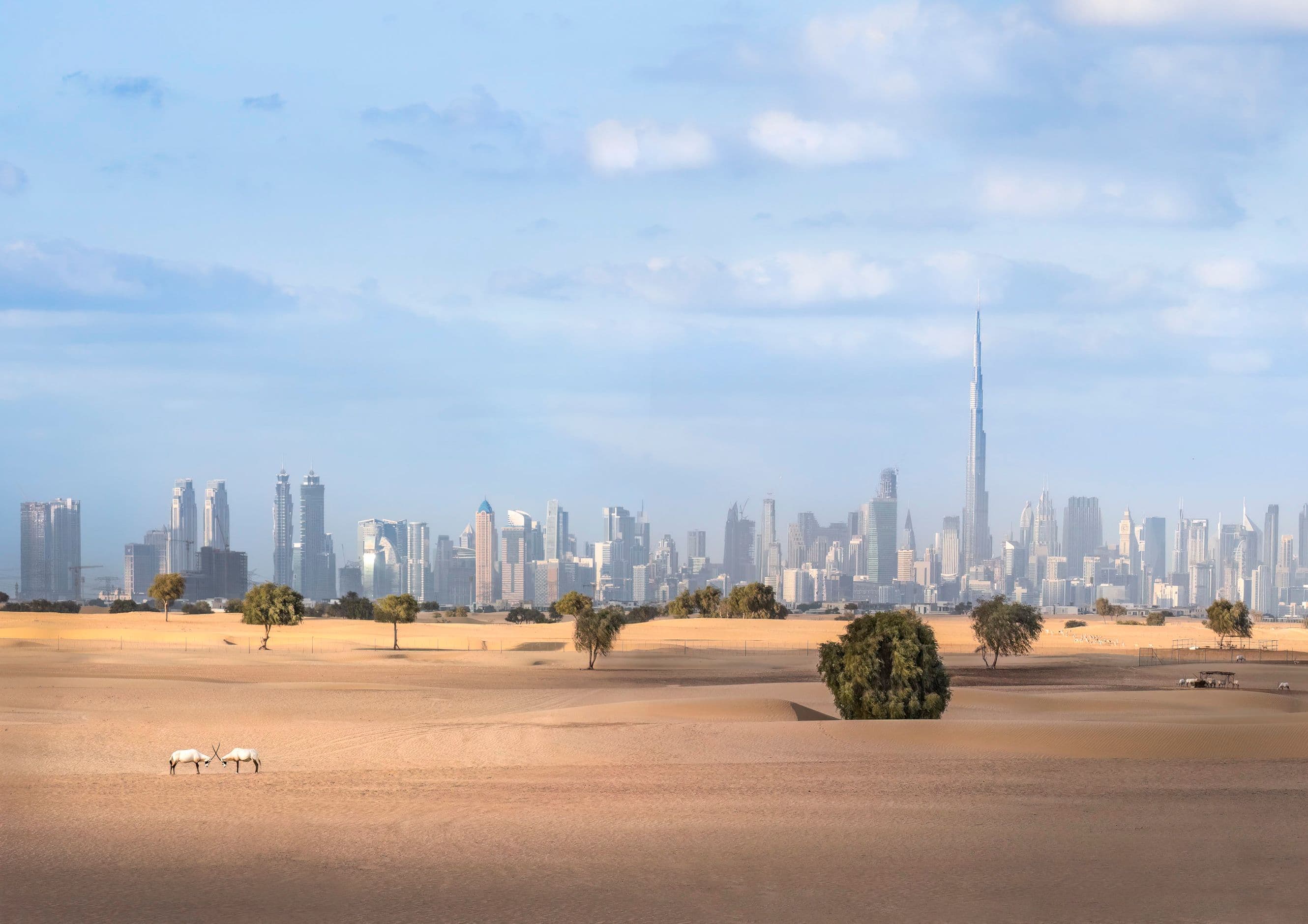 Fix My Tyre tyre service in Arabian Ranches, Dubai